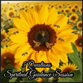 5 Questions Spiritual Guidance Session