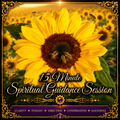 15 Minute Spiritual Guidance Session