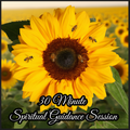 30 Minute Spiritual Guidance Session
