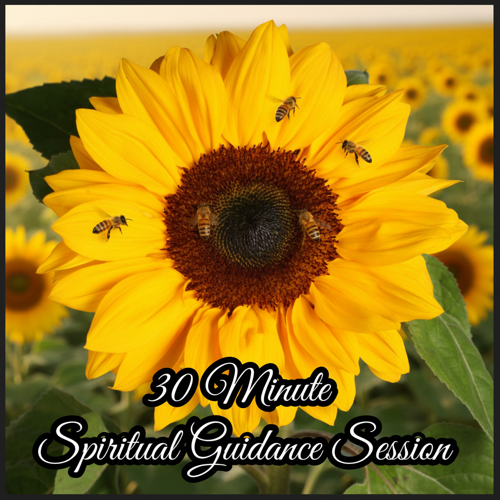 30 Minute Spiritual Guidance Session