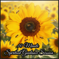 10 Minute Spiritual Guidance Session