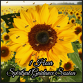 1 Hour Spiritual Guidance Session