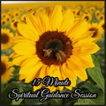 15 Minute Spiritual Guidance Session